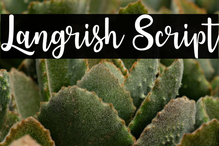Langrish Script Example 1