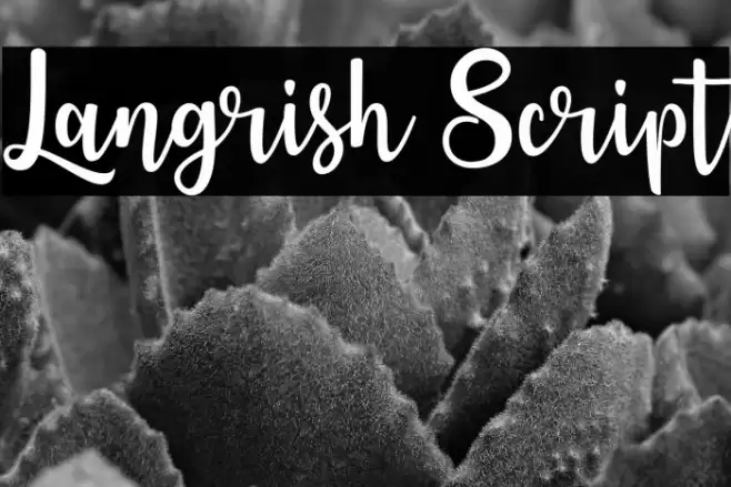 Langrish Script Font examples