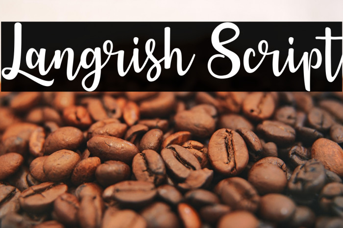 Langrish Script Example 3