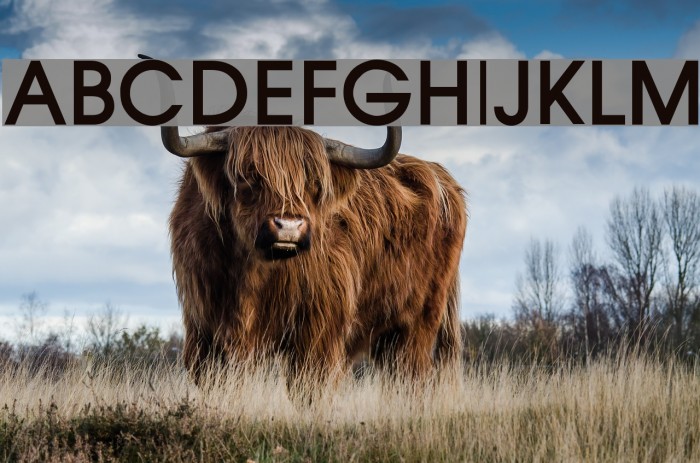 LangscapeDevPoojaBold Font examples