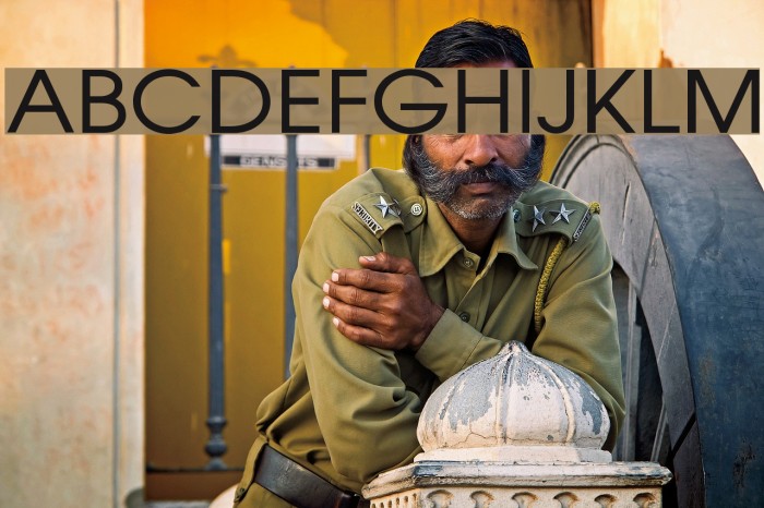 LangscapeDevPoojaNormal Font examples