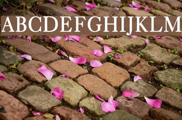 LangscapeDevPriyaBold Font examples