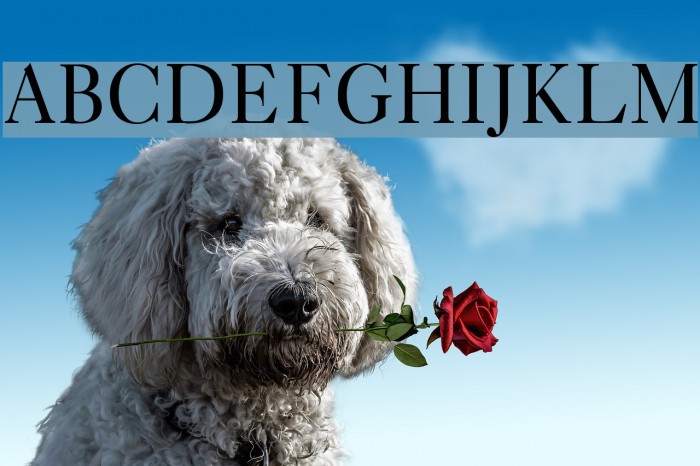LangscapeDevPriyaNormal Font examples