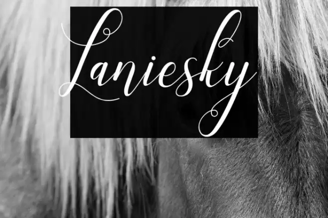 Laniesky Font examples