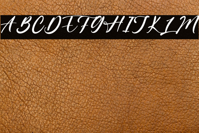 LanitosFalls Example 2