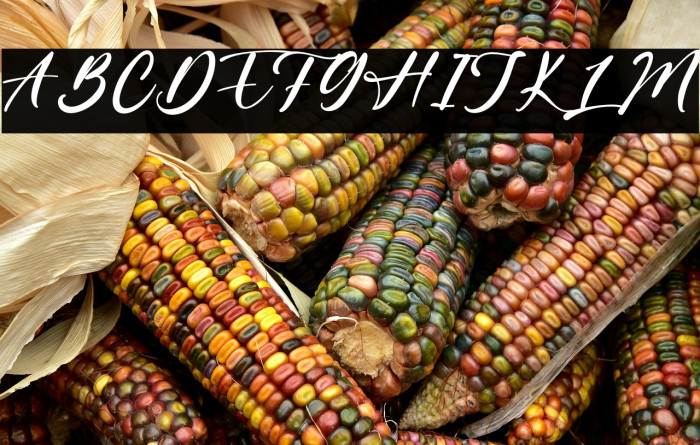 LanitosFalls Example 3