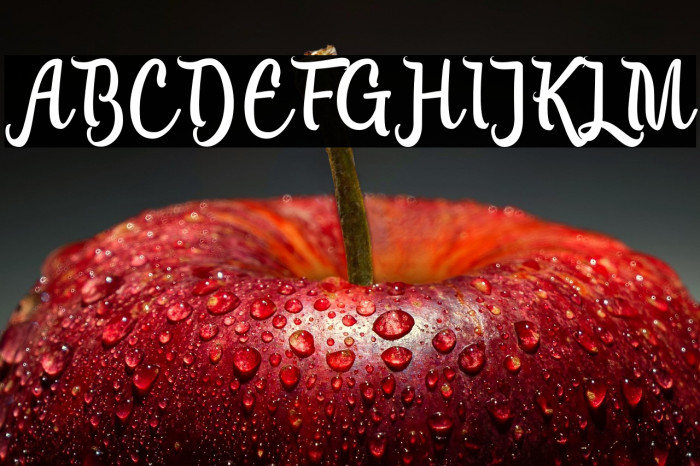 LanjutinFreeDemo-Regular Example 3