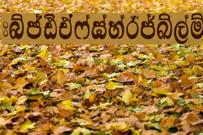 Lankanatha Suppliment Font examples