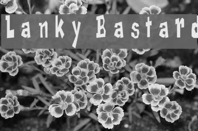 Lanky Bastard Font examples