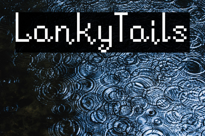 LankyTails Example 1