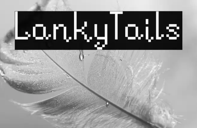 LankyTails Font examples