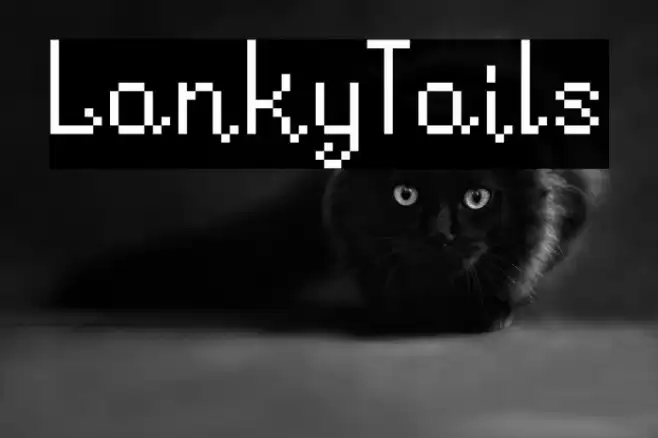 LankyTails Font examples