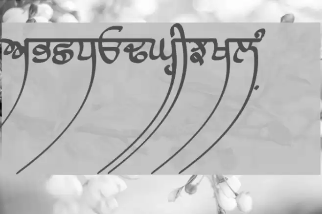 Lanma Script Medium Font examples