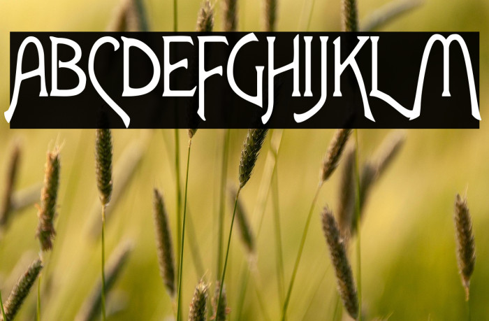 Lansbury FG Example 1