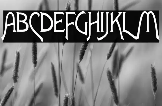 Lansbury FG Font examples