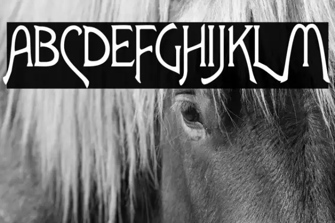 Lansbury FG Font examples