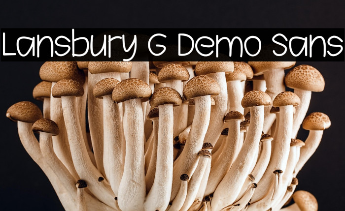 Lansbury G Demo Sans Example 3
