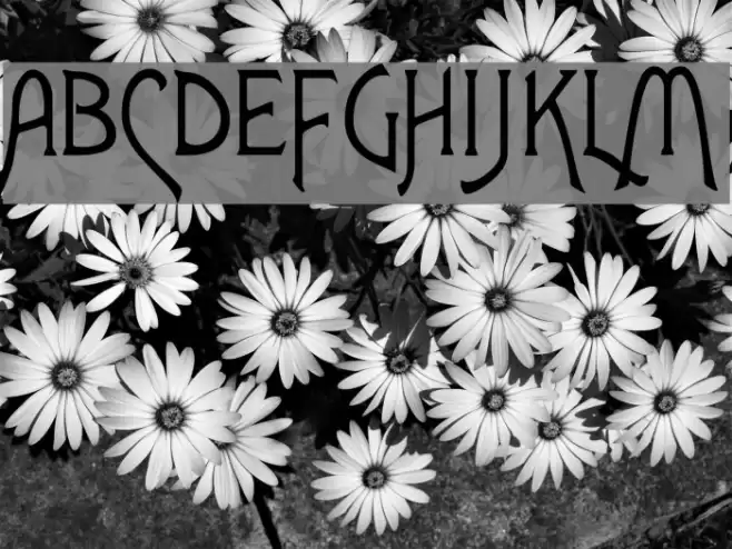 Lansbury Font examples