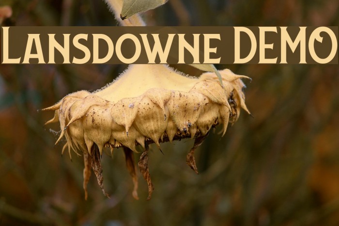 Lansdowne DEMO Font examples