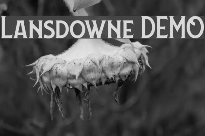 Lansdowne DEMO Example 1
