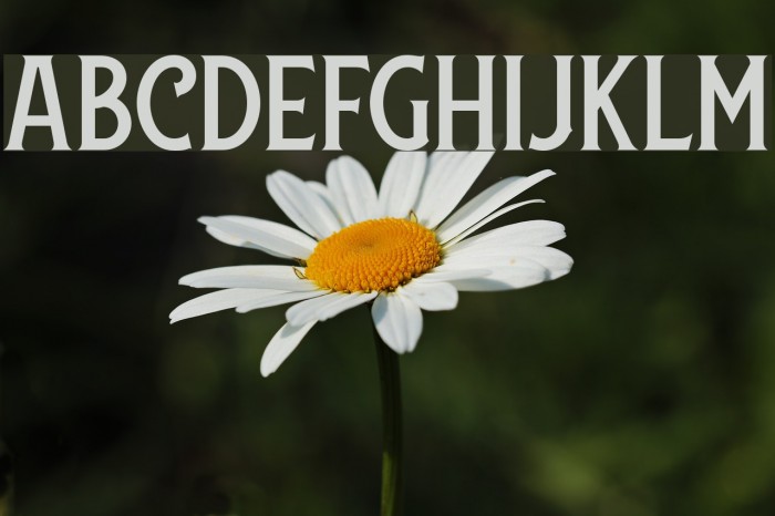 LansdowneDEMO Font examples