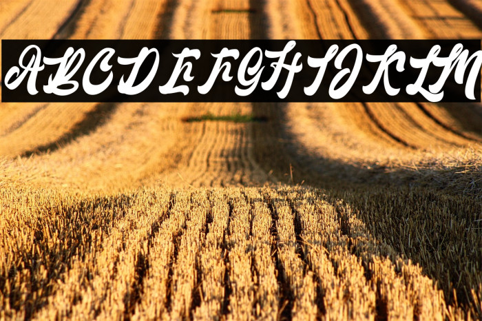 Lantenia Regular Example 2