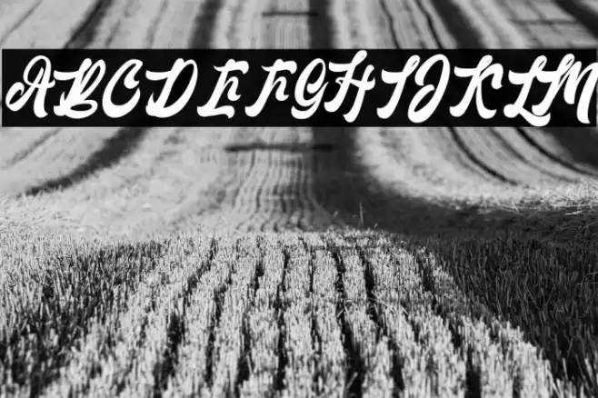 Lantenia Regular Font examples