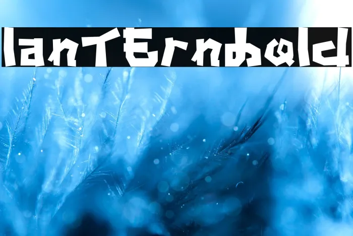 LanternBold Example 3