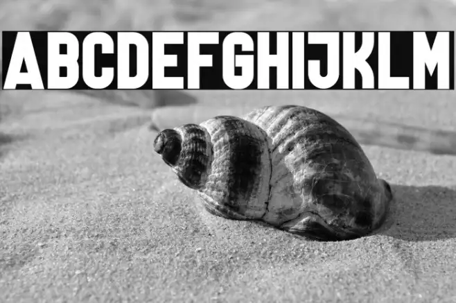 Lanterosy Sans Serif Example 1