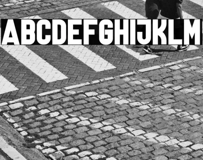 Lanterosy Sans Serif Example 2