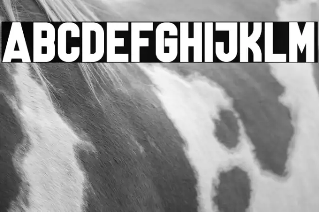 Lanterosy Sans Serif Example 3