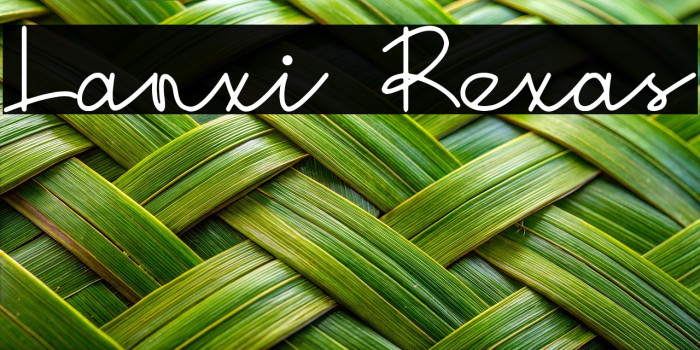 Lanxi Rexas Example 1