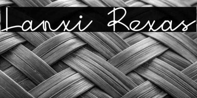 Lanxi Rexas Example 1