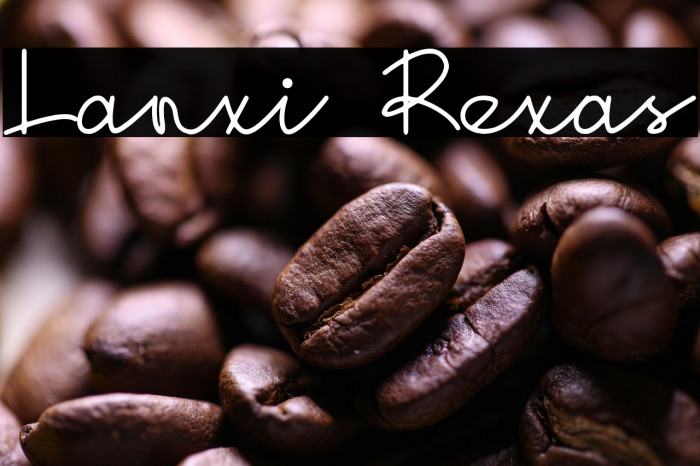 Lanxi Rexas Example 2