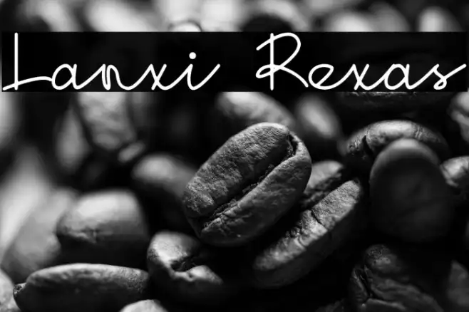 Lanxi Rexas Example 2