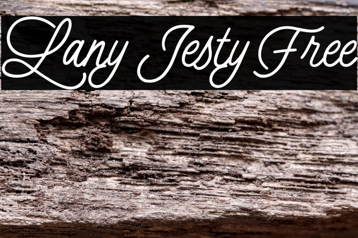 Lany Jesty Free Example 3
