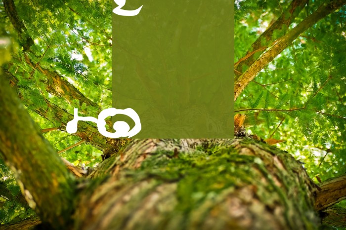 Lao Dhamma 1 Font examples