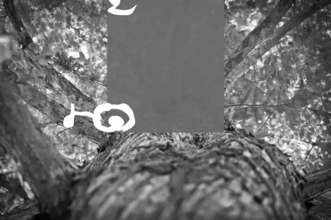 Lao Dhamma 1 Fonte examples