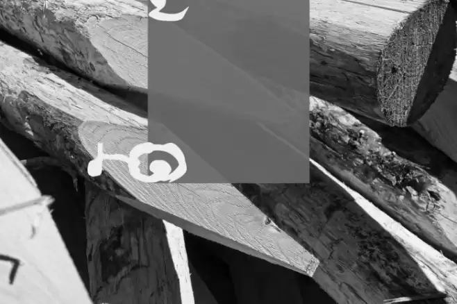 Lao Dhamma 1 Fonte examples