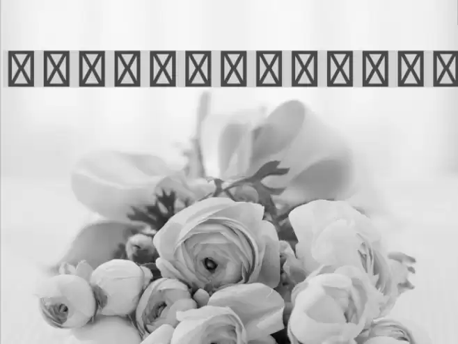 Lao Sans Pro Font examples