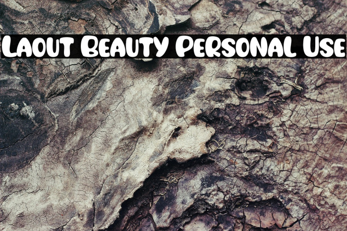 Laout Beauty Personal Use Example 2