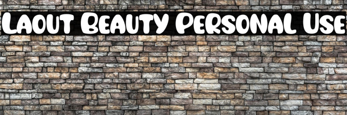 Laout Beauty Personal Use Example 3