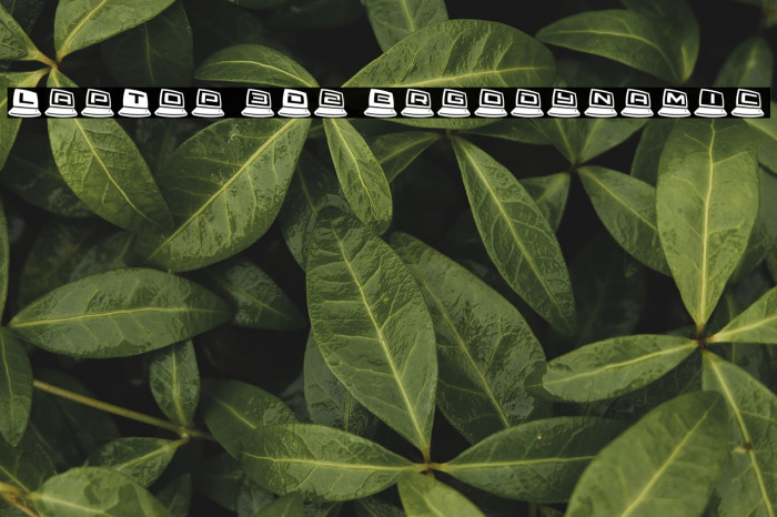 LapTop 3D2 Ergodynamic Example 1