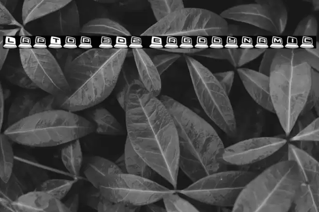 LapTop 3D2 Ergodynamic Font examples