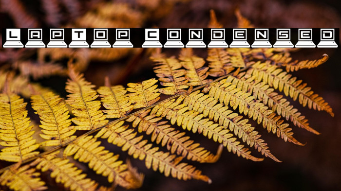 LapTop Condensed Example 1