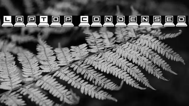 LapTop Condensed Font examples