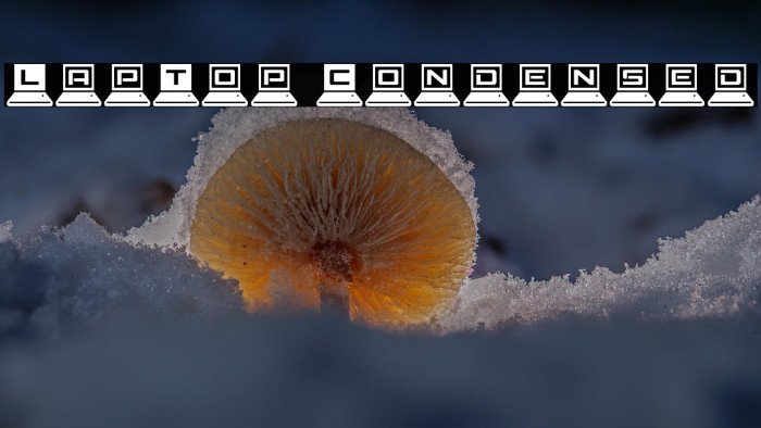 LapTop Condensed Example 3