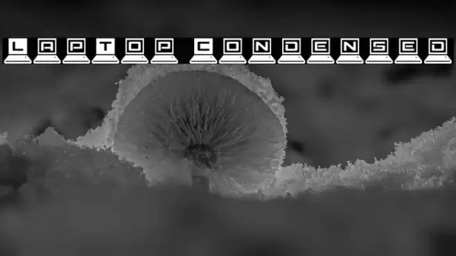 LapTop Condensed Font examples