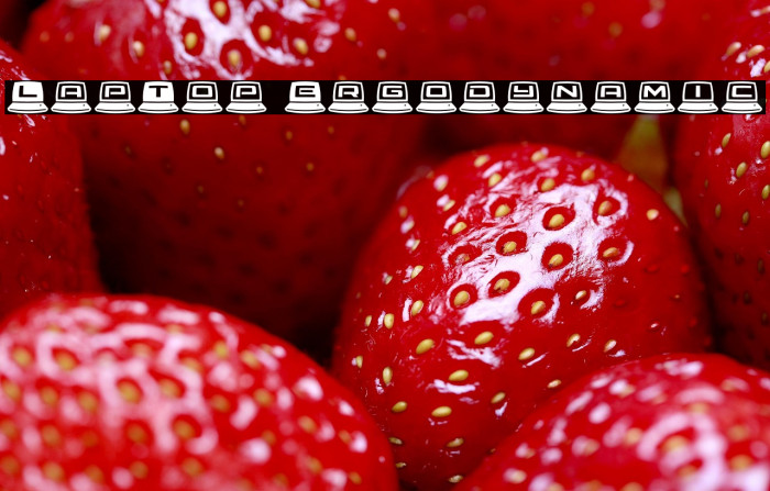 LapTop Ergodynamic Example 3