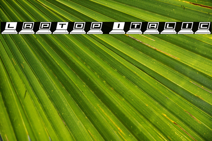 LapTop Italic Example 2